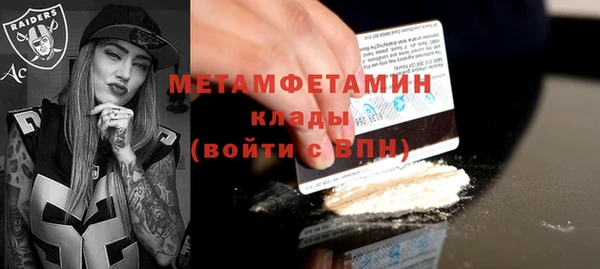 прущие грибы Михайловка