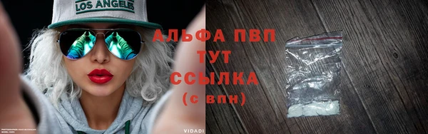 прущие грибы Михайловск