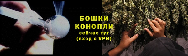 прущие грибы Михайловка