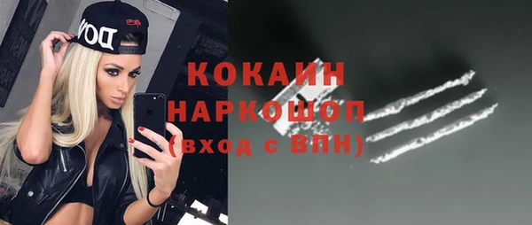 прущие грибы Михайловск