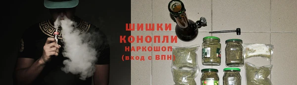 прущие грибы Михайловск