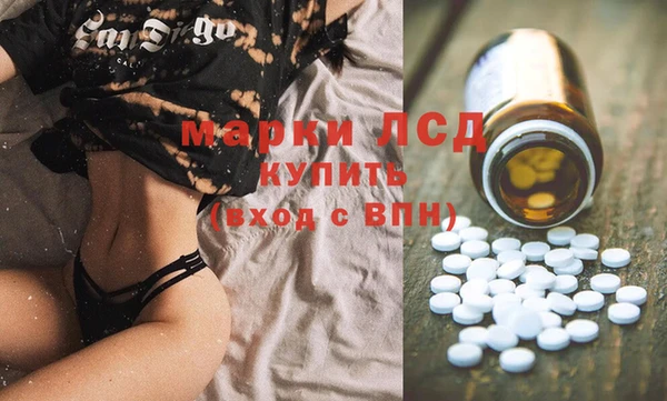 прущие грибы Михайловка