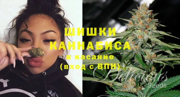 прущие грибы Михайловка