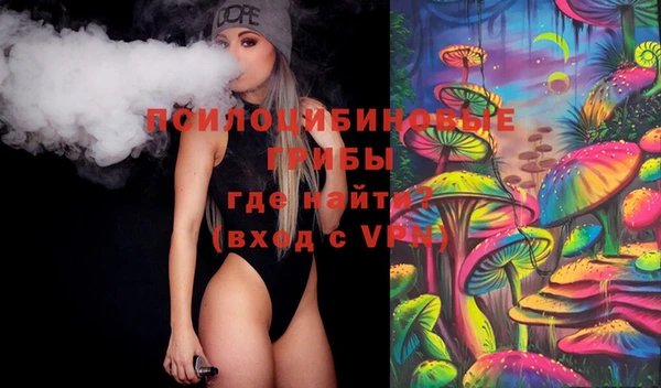 прущие грибы Михайловка