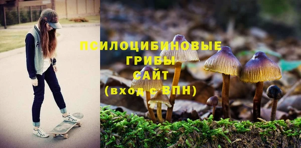 мескалин Михайлов