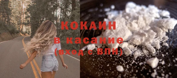 прущие грибы Михайловск
