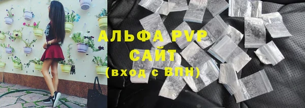 прущие грибы Михайловск