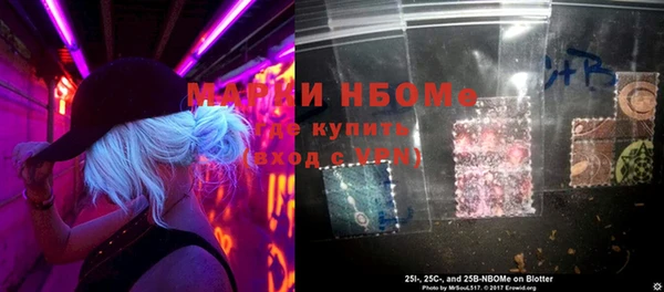 прущие грибы Михайловка