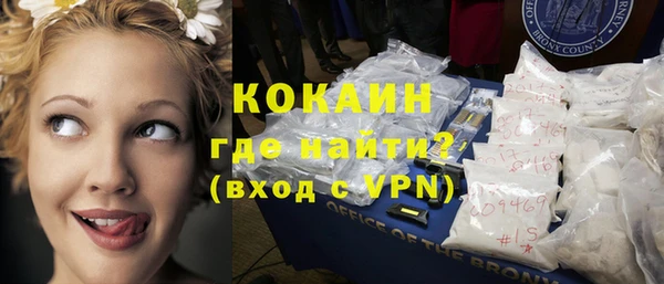 прущие грибы Михайловка
