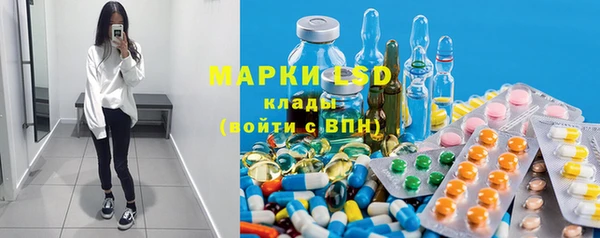 прущие грибы Михайловск