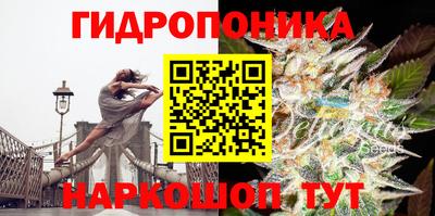 марихуана Гатчина
