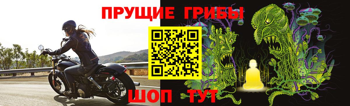 Галлюциногенные грибы Psilocybine cubensis  цена наркотик  Дивногорск  Вход с VPN 