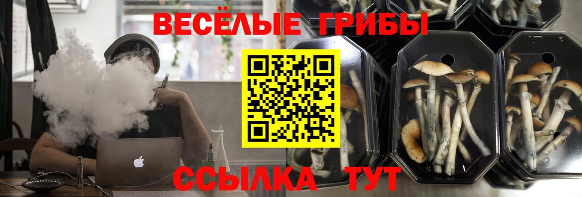 Псилоцибиновые грибы прущие грибы Дивногорск