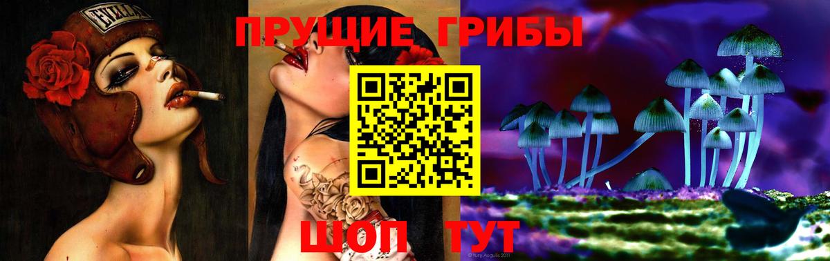 Псилоцибиновые грибы Psilocybe Дивногорск