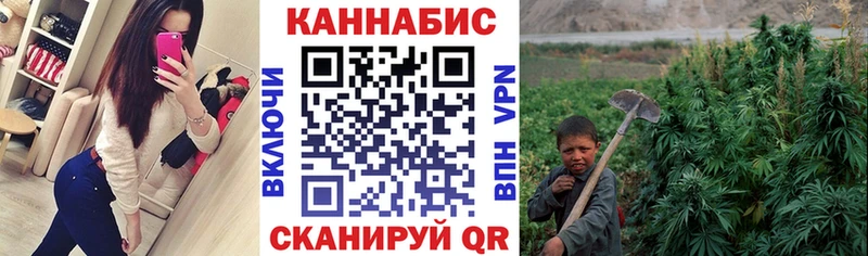 хочу Дивногорск Канабис план